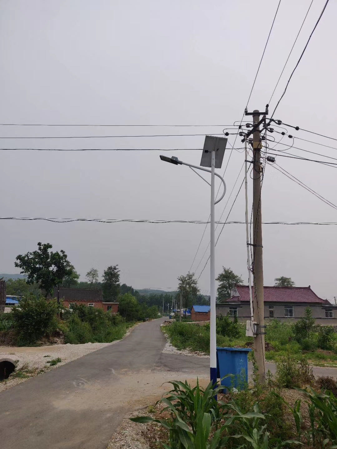 太阳能路灯 (11)