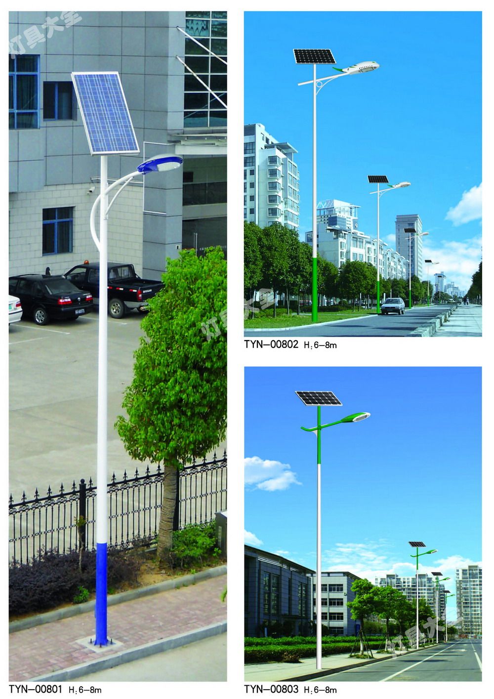 太阳能路灯 (14)