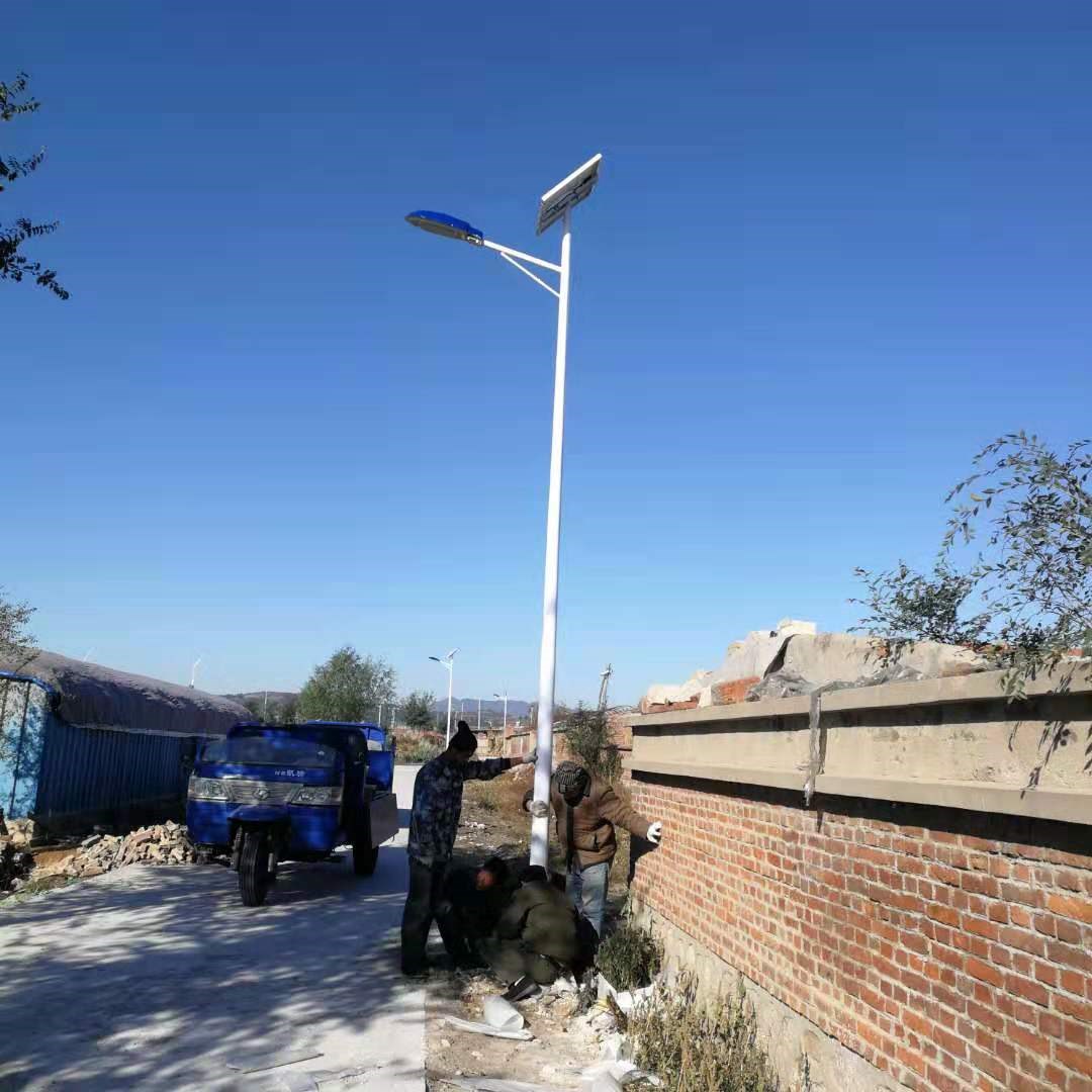 太阳能路灯 (15)