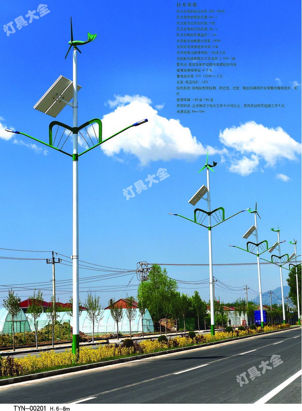 太阳能路灯 (3)